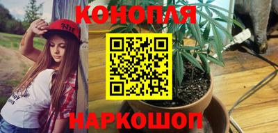 стафф Краснодар