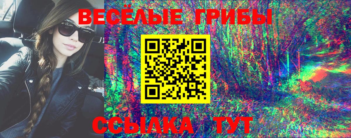 Галлюциногенные грибы Psilocybe Серов